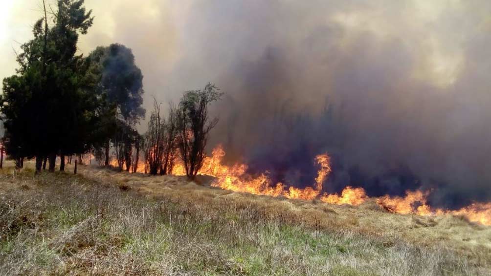 Panorámica del incendio en Parque Ecológico de Xochimilco