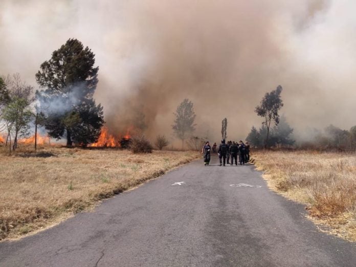 Seguridad Pública protege los alrededores del incendio