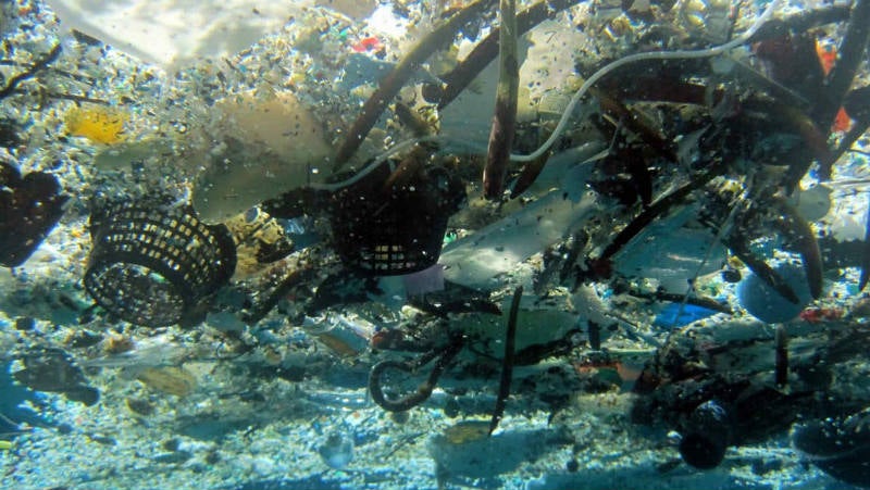 Contaminación de los mares