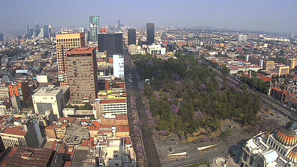 Vista desde la Torre Latinoamericana 