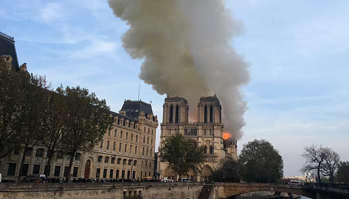 Catedral de Notre Dame siendo consumida por las llamas 