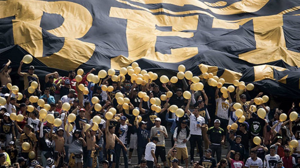 Aficionados de Pumas, en juego en CU 