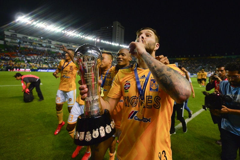 Tigres campeón