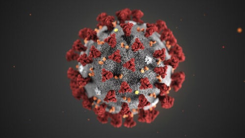 El coronavirus