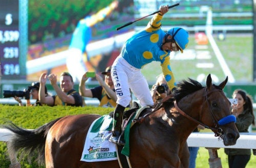 'American Pharoah' durante una carrera