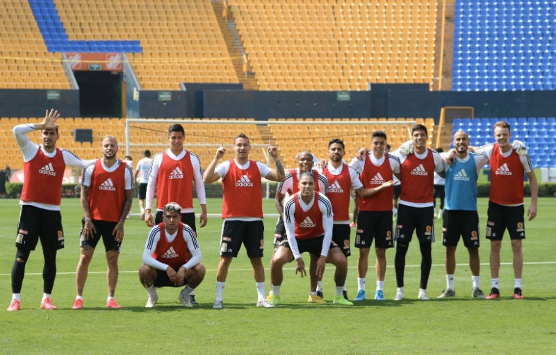 Tigres en entrenamiento