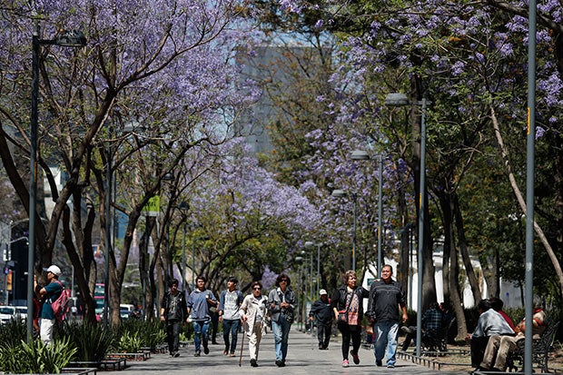 Personas caminan en la Alameda Central