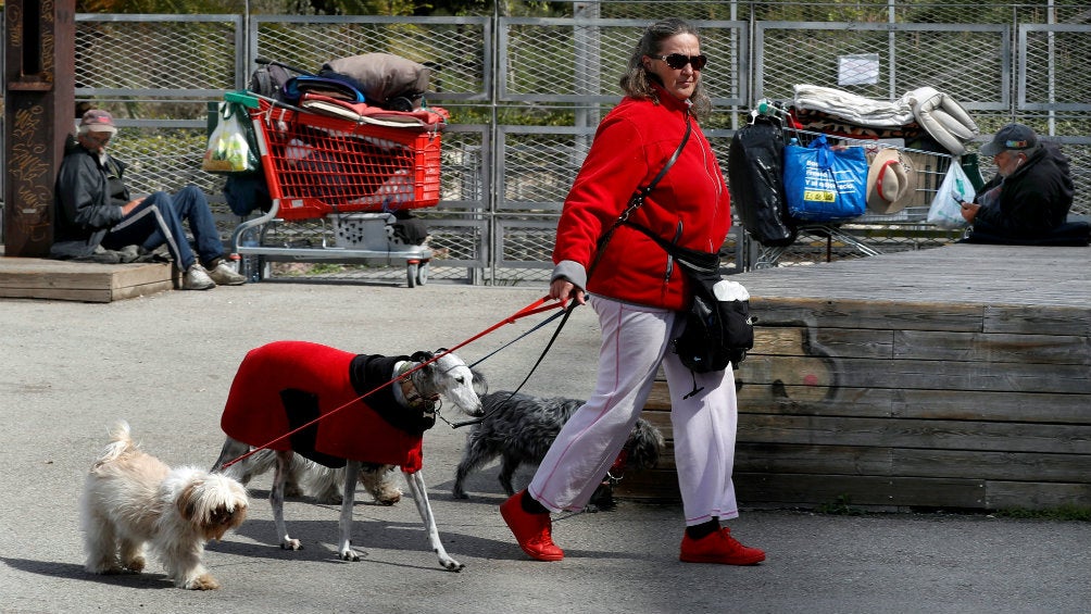 Perros paseando en Londres