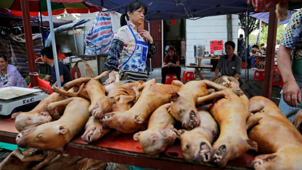 Venta de perros para consumo