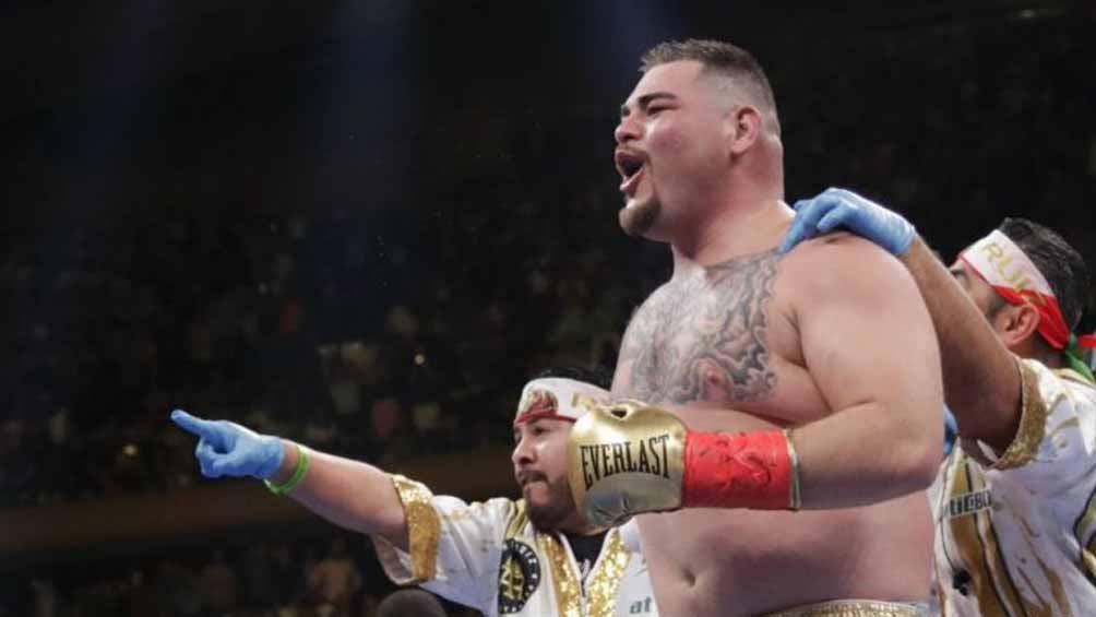 Andy Ruíz festeja tras vencer a Anthony Joshua