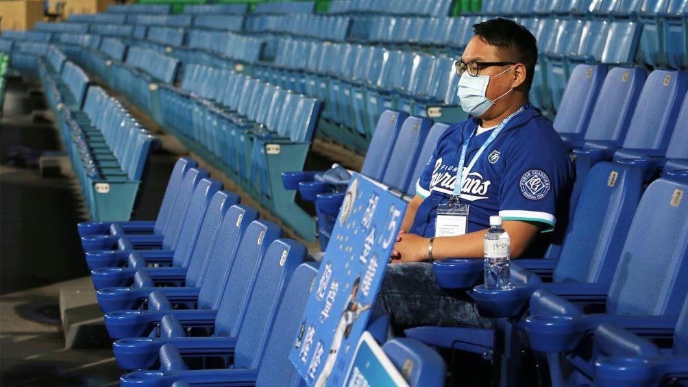 Aficionado del beisbol desde las gradas