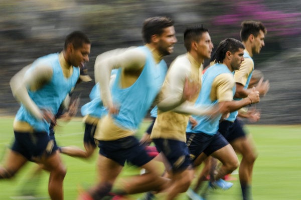 Pumas en práctica