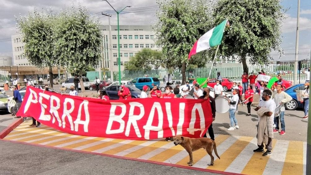 Perra Brava anima a personal médico