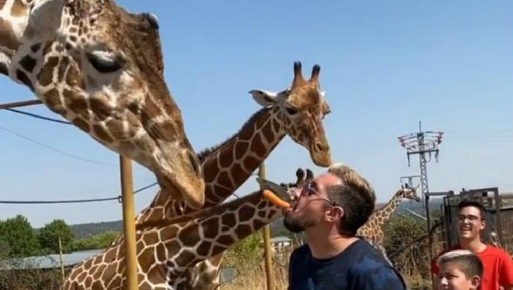 Héctor Herrera posa junto a una jirafa en un zafai de Madrid