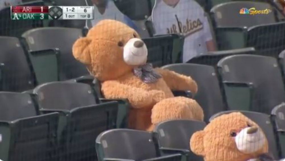 Oso de peluche en las gradas del O.co Coliseum