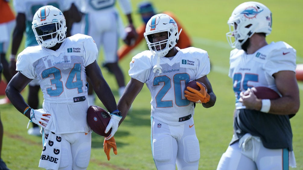 Dolphins en entrenamiento