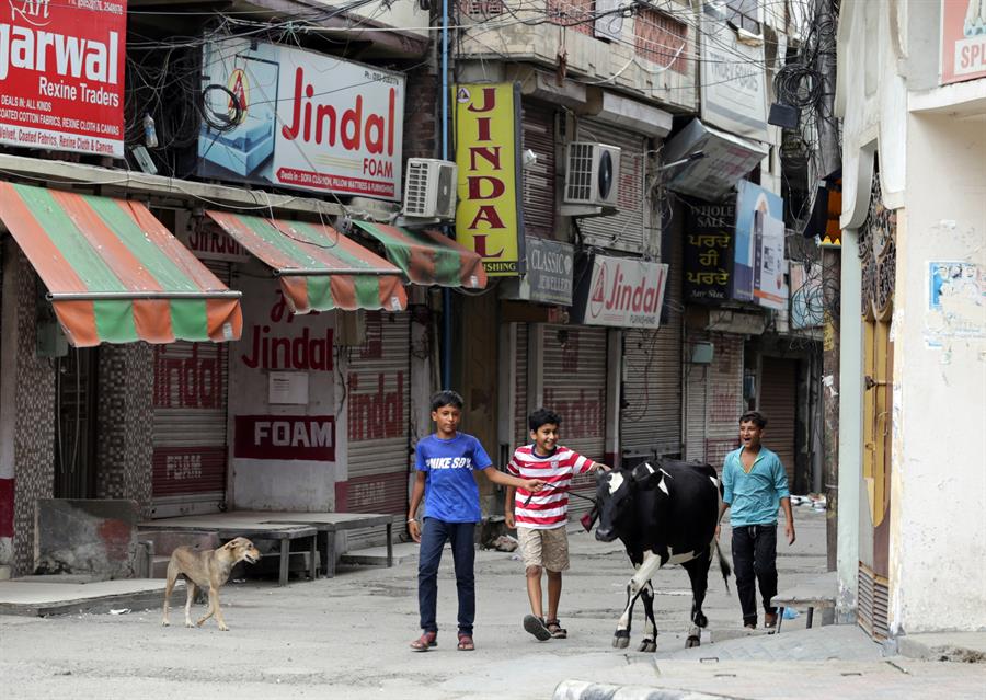 Coronavirus en India