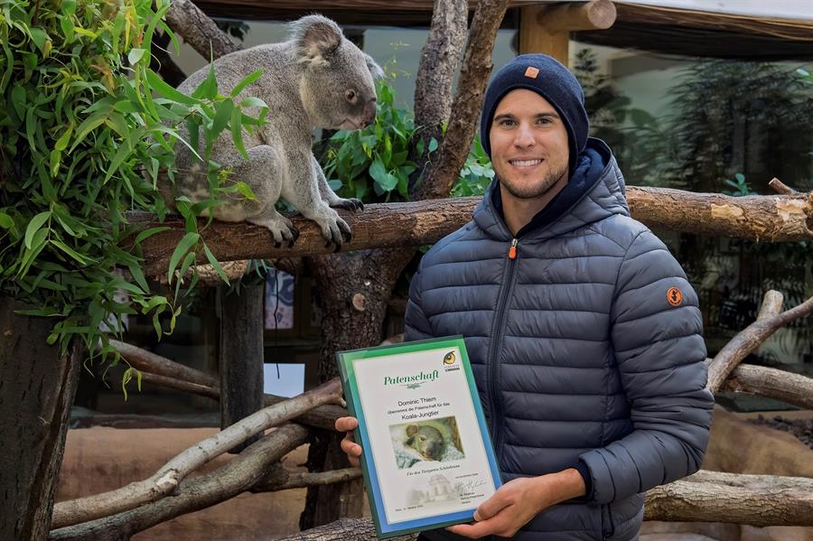 Dominic Thiem junto a la mamá koala