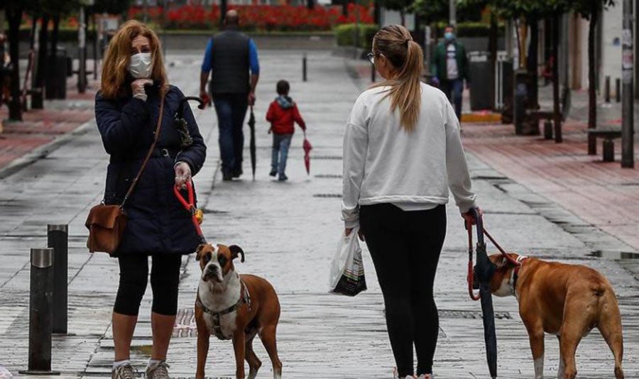 Los perros ahora ayudarán a detectar el Coronavirus