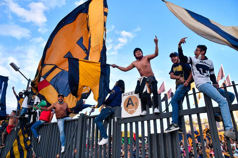 Afición de Pumas en festejo