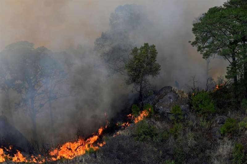 Incendio Tepozteco