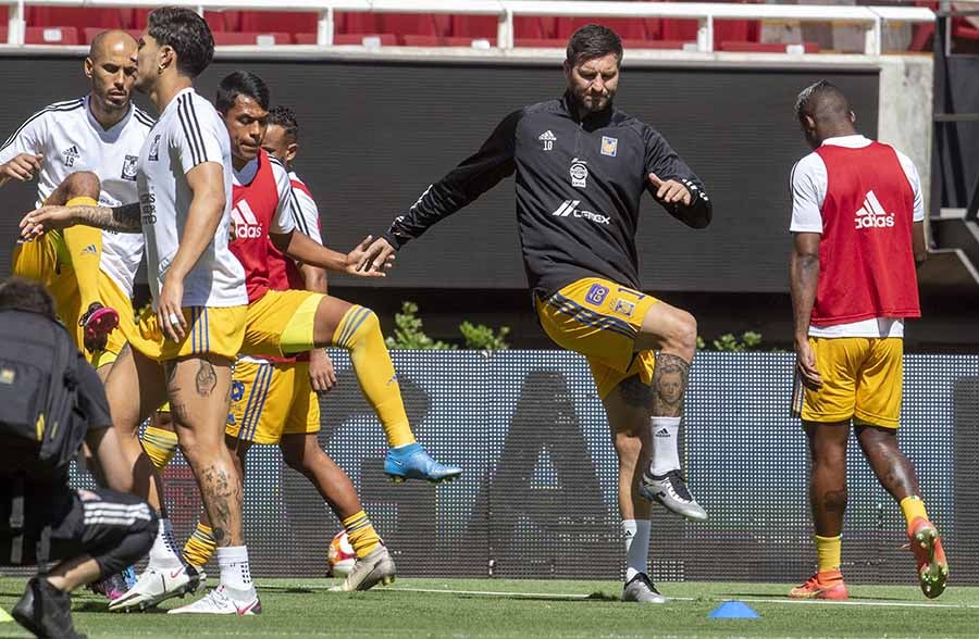 Los felinos en calentamiento en el Akron