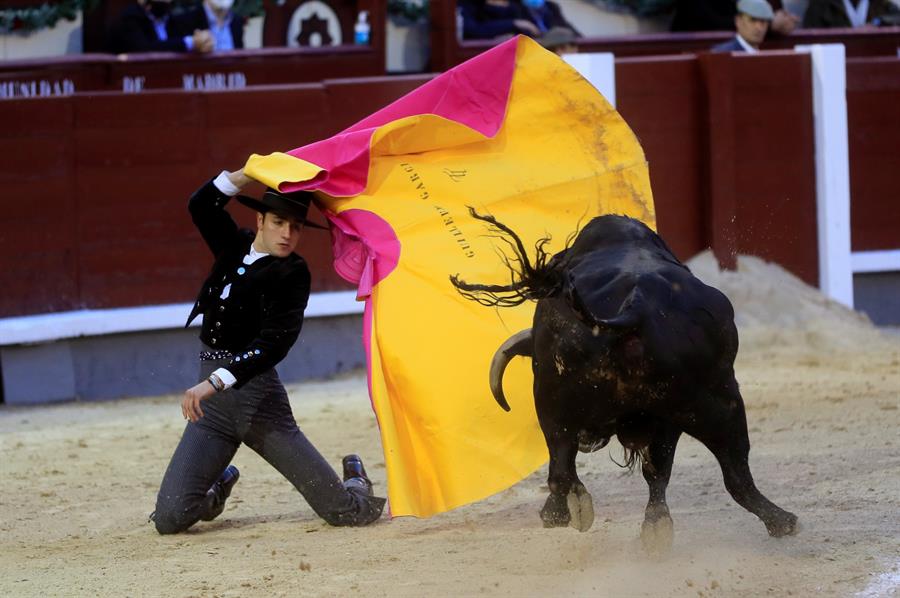 Corridas de toro con público reanudaron en Madrid