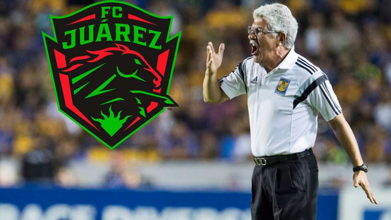 Ferretti, en un juego de Tigres