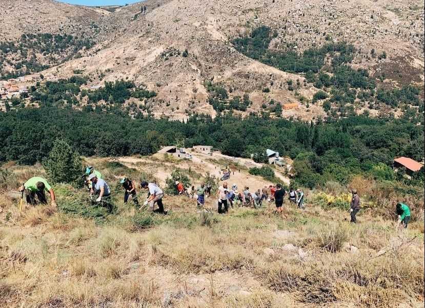 La comunidad de Navalacruz ayudando en los incendios