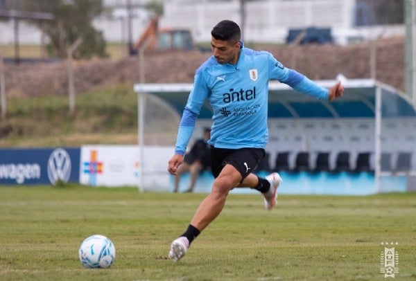 Luis Suárez durante entrenamiento con la Selección Uruguaya