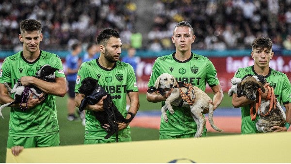 Jugadores del Dínamo Bucarest con los perros rescatados