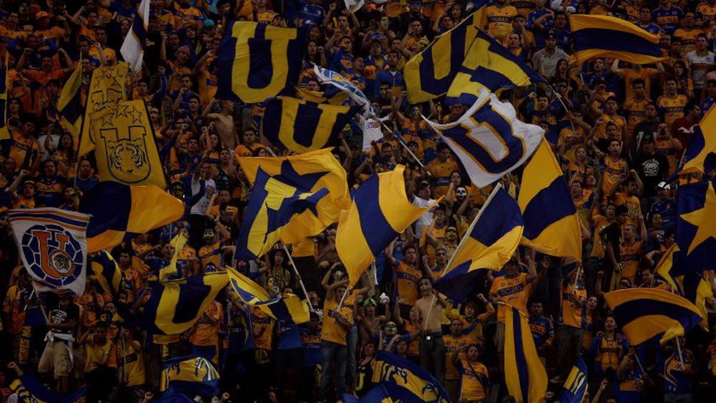 Miembros de Libres y Lokos en un partido de Tigres