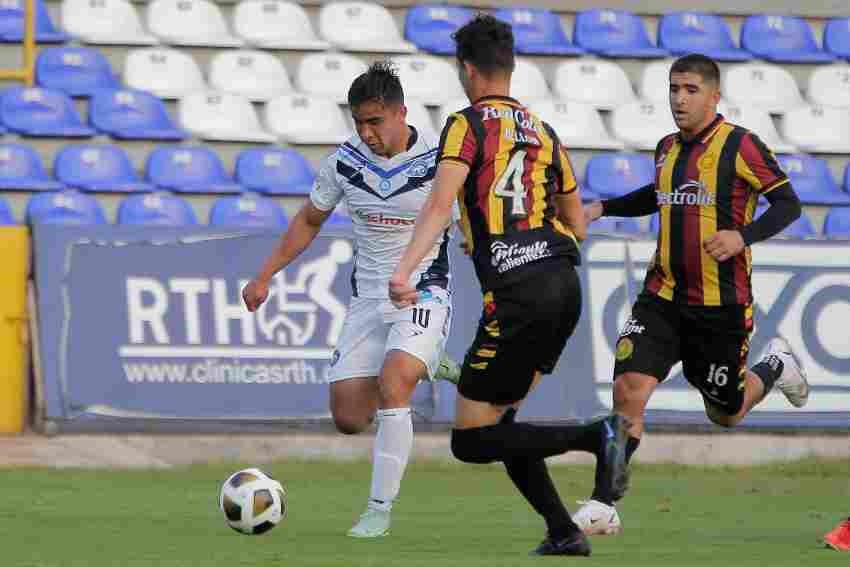 Leones jugando en la Expansión