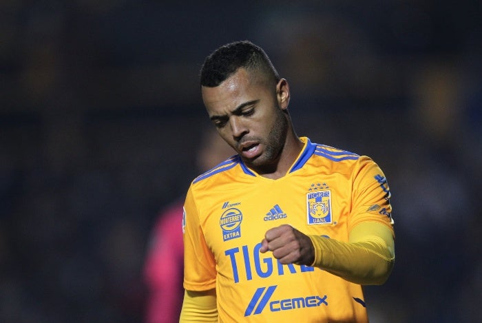 Carioca en lamento con Tigres