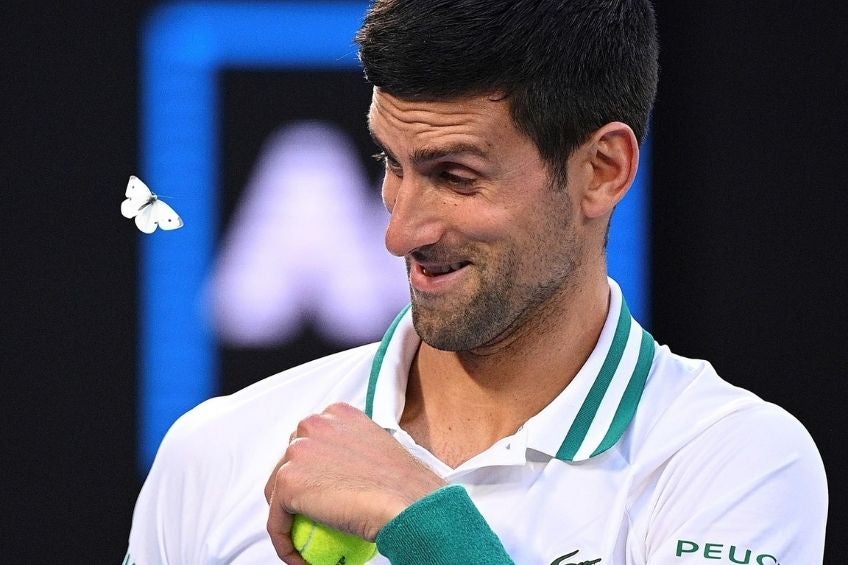 Djokovic durante un partido de tenis