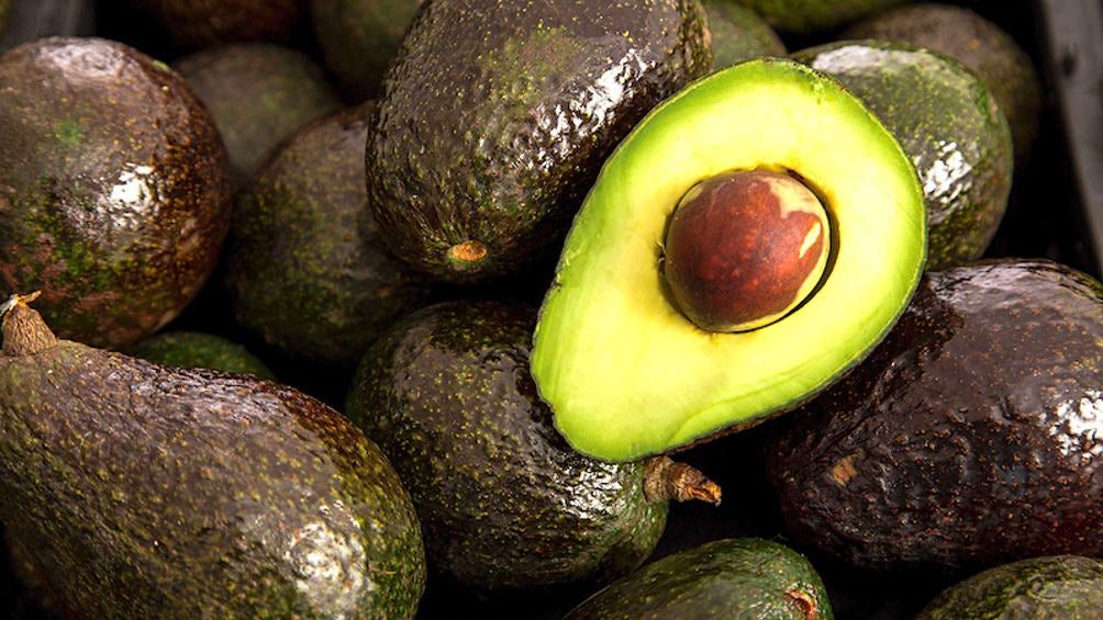 Millones de libras de aguacate son exportadas a la Unión Americana