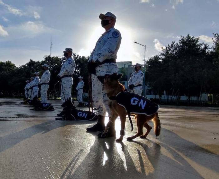 Guardia Nacional de México 