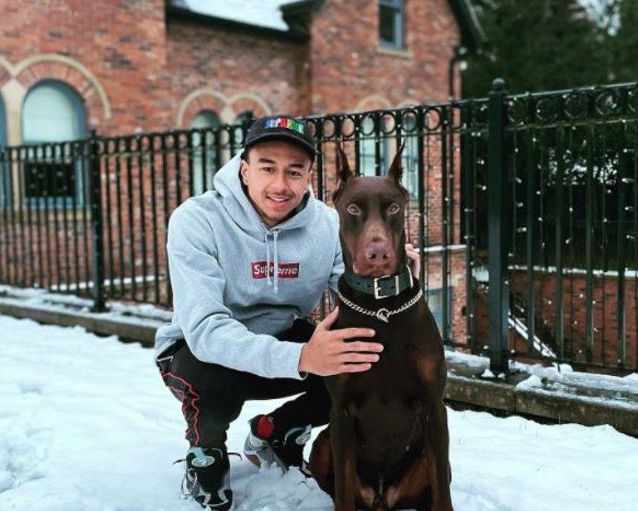 Lingard con su perro afuera de su mansión