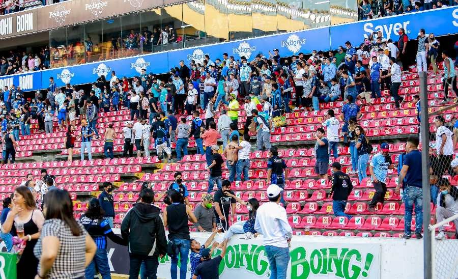 Pelea en las gradas de La Corregidora