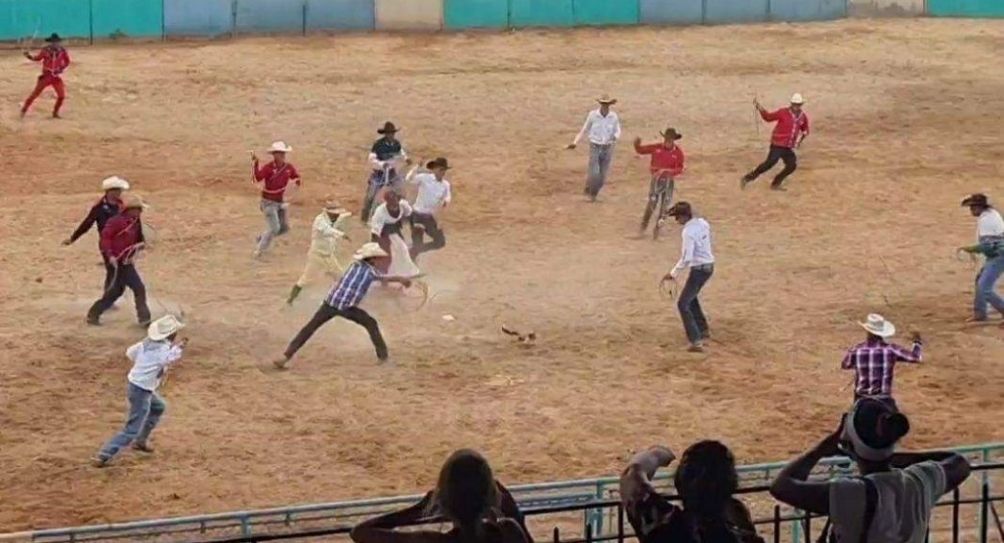 Rodeo de gatos en la feria de Cuba