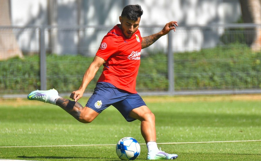 Vega en entrenamiento