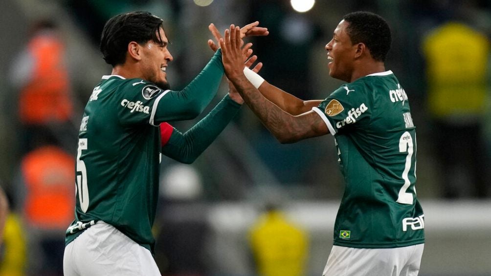 Palmeiras es el máximo favorito a ganarla