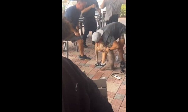 Perro pitbull atacó a chihuahua en restaurante 'Pet Friendly'