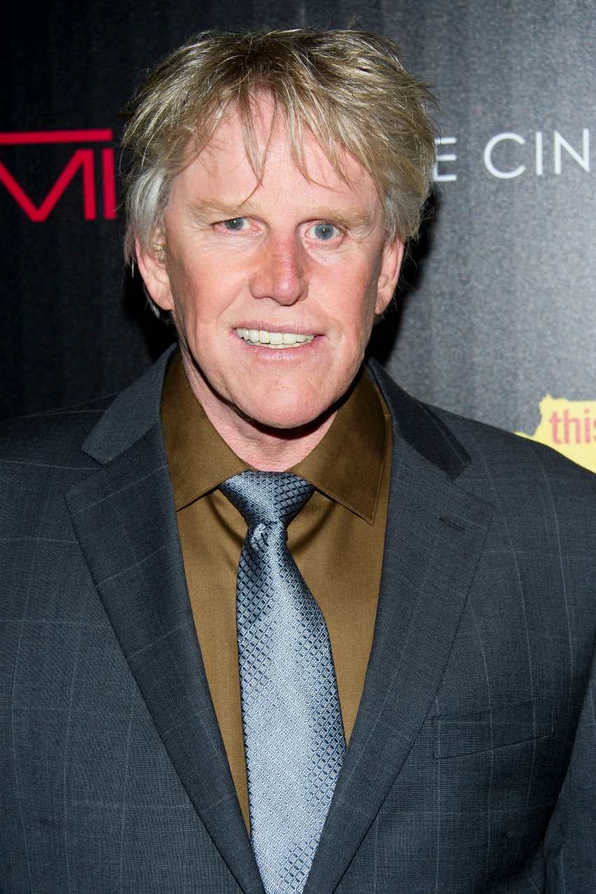 Gary Busey fue acusado de delitos sexuales