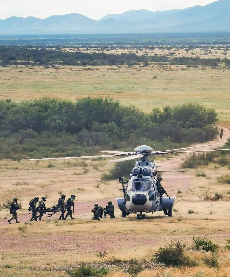 Ejercito de México