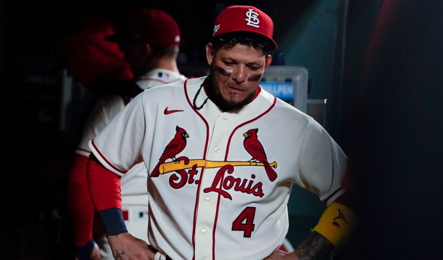 Yadier Molina en el dugout