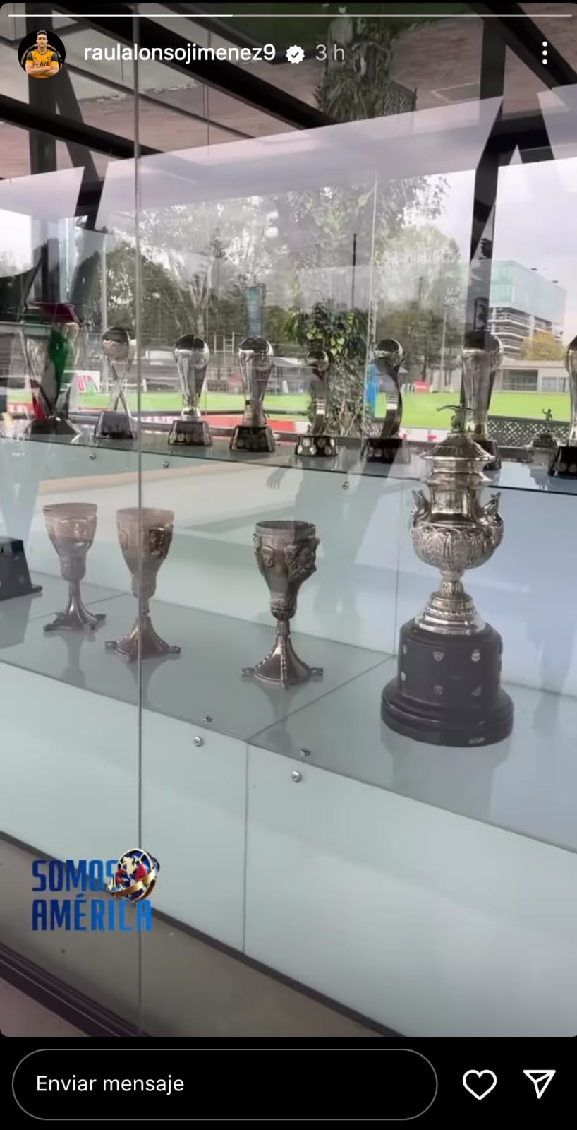 Vitrina de trofeos de las Águilas