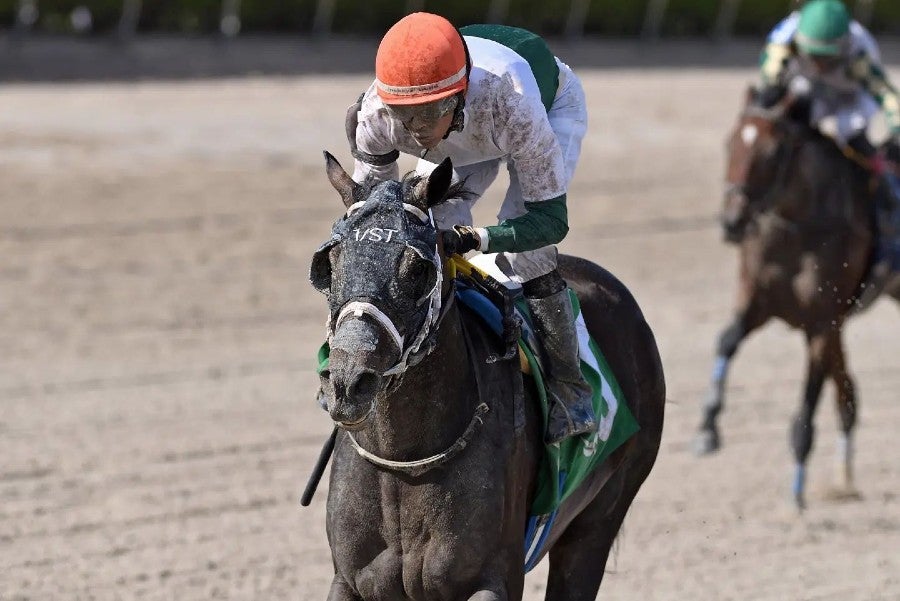 Carrera en el Hipódromo de Chile