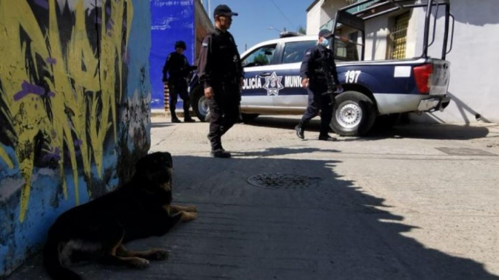 Perro siendo resguardado por la policía 