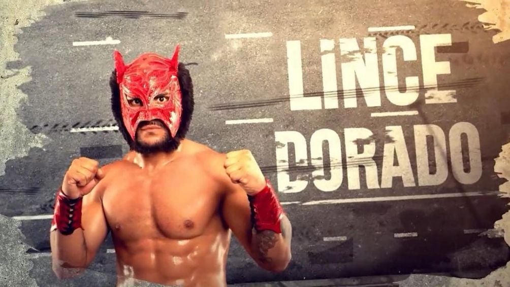 Lince Dorado busca destacar en la lucha mexicana